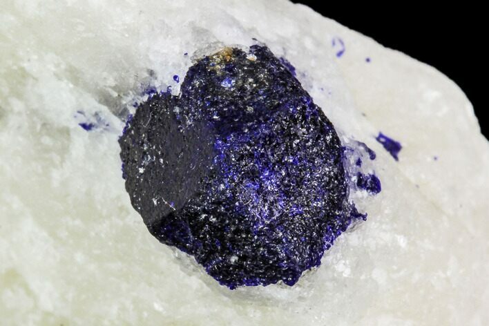Lazurite Crystal in Marble Matrix - Afghanistan #111762